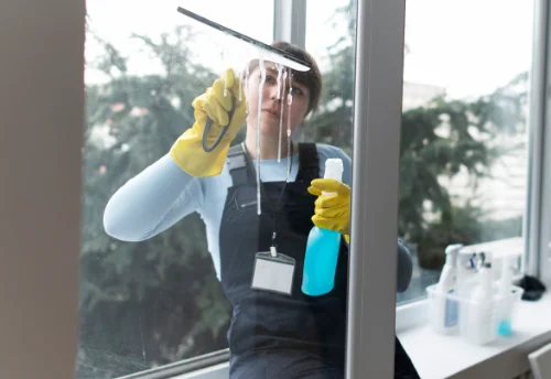 Nettoyage de vitres intérieures et extérieures à Billom